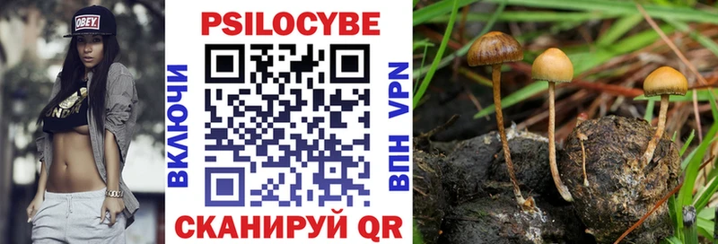 Псилоцибиновые грибы Magic Shrooms  Электроугли 