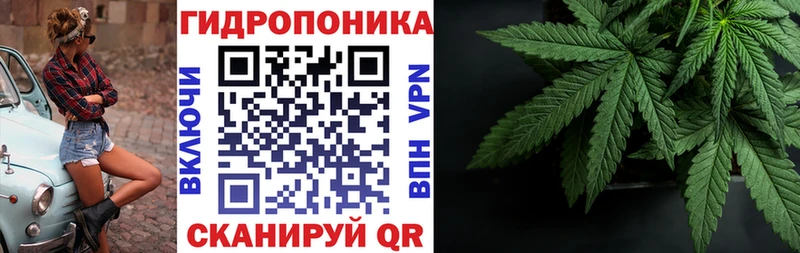 купить наркоту Электроугли Бошки Шишки план